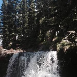 Meet your Posher, Luanna